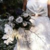 Chosen by KYHA - Image 4