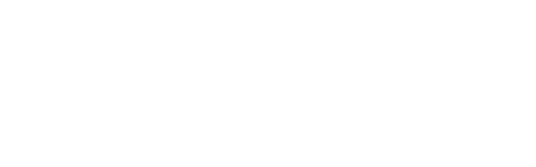Barefaced Bridal logo, Sydney's consignment bridal boutique offering wedding dresses, first dance tuition and wedding planning services.